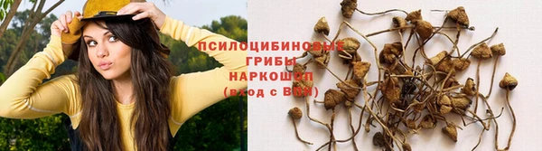 apvp Абинск